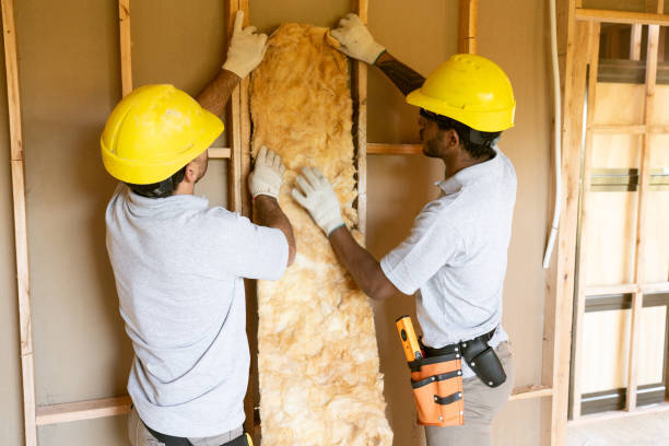 Best Batt and Roll Insulation  in Nellieburg, MS